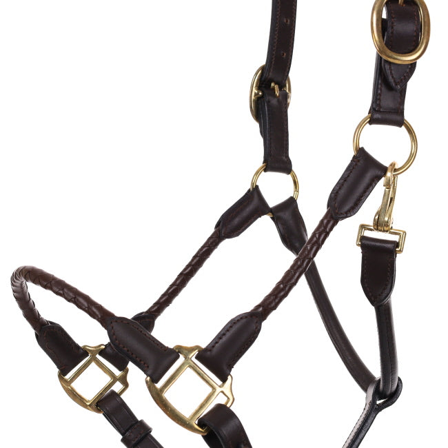 Leather Halter with Braided Nose and Cheeks