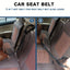 Doggie  Car Seat Belt