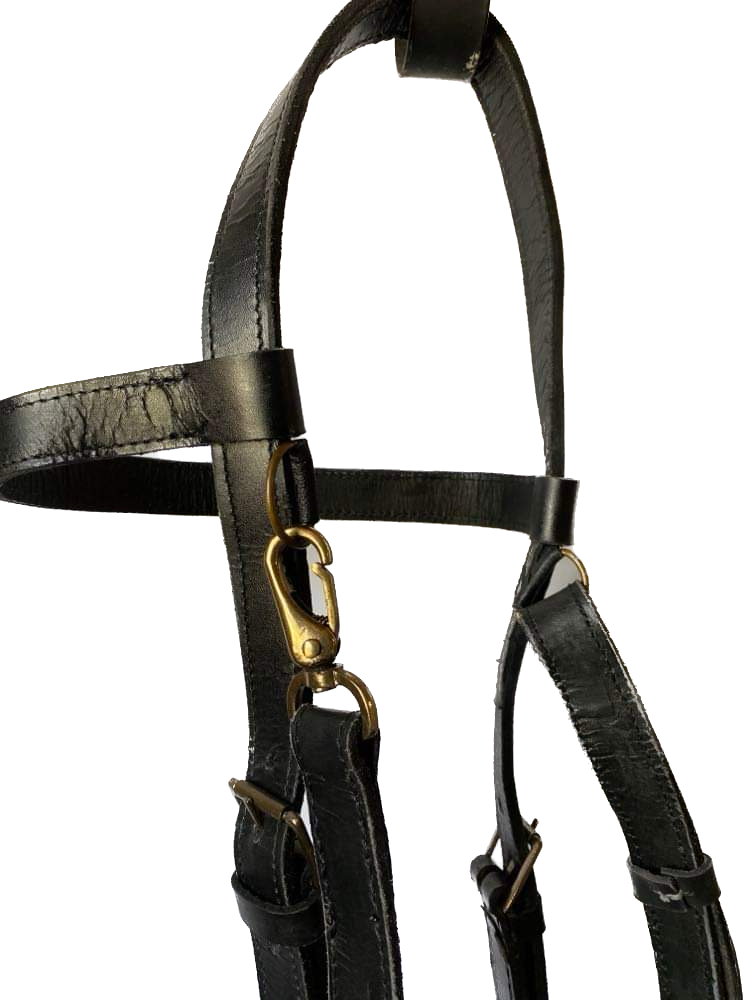 Versa Training Quick Change Bridle