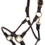 Leather Halter with Braided Nose and Cheeks