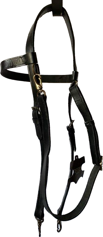 Versa Training Quick Change Bridle