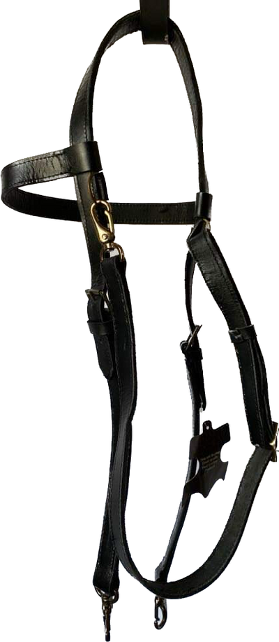 Versa Training Quick Change Bridle