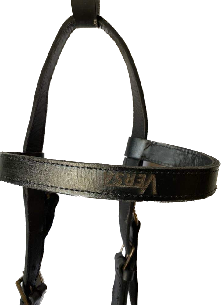 Versa Training Quick Change Bridle