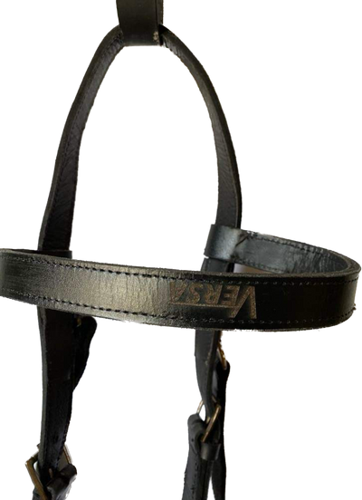 Versa Training Quick Change Bridle