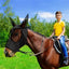 Horse Fly Masks With Ears