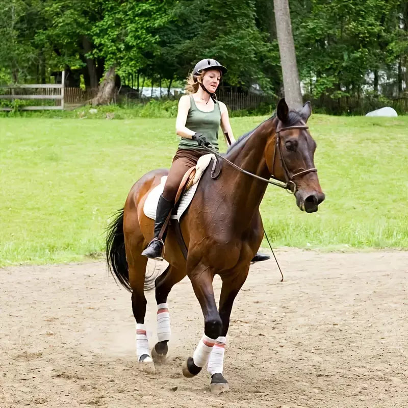 Equestrian Riding Gloves