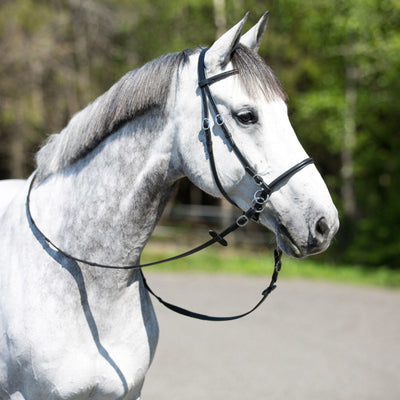 Horze Leather Bitless Bridle With Reins- Black