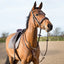 Horze Adjustable Hunting Breastplate - Light Brown Horse