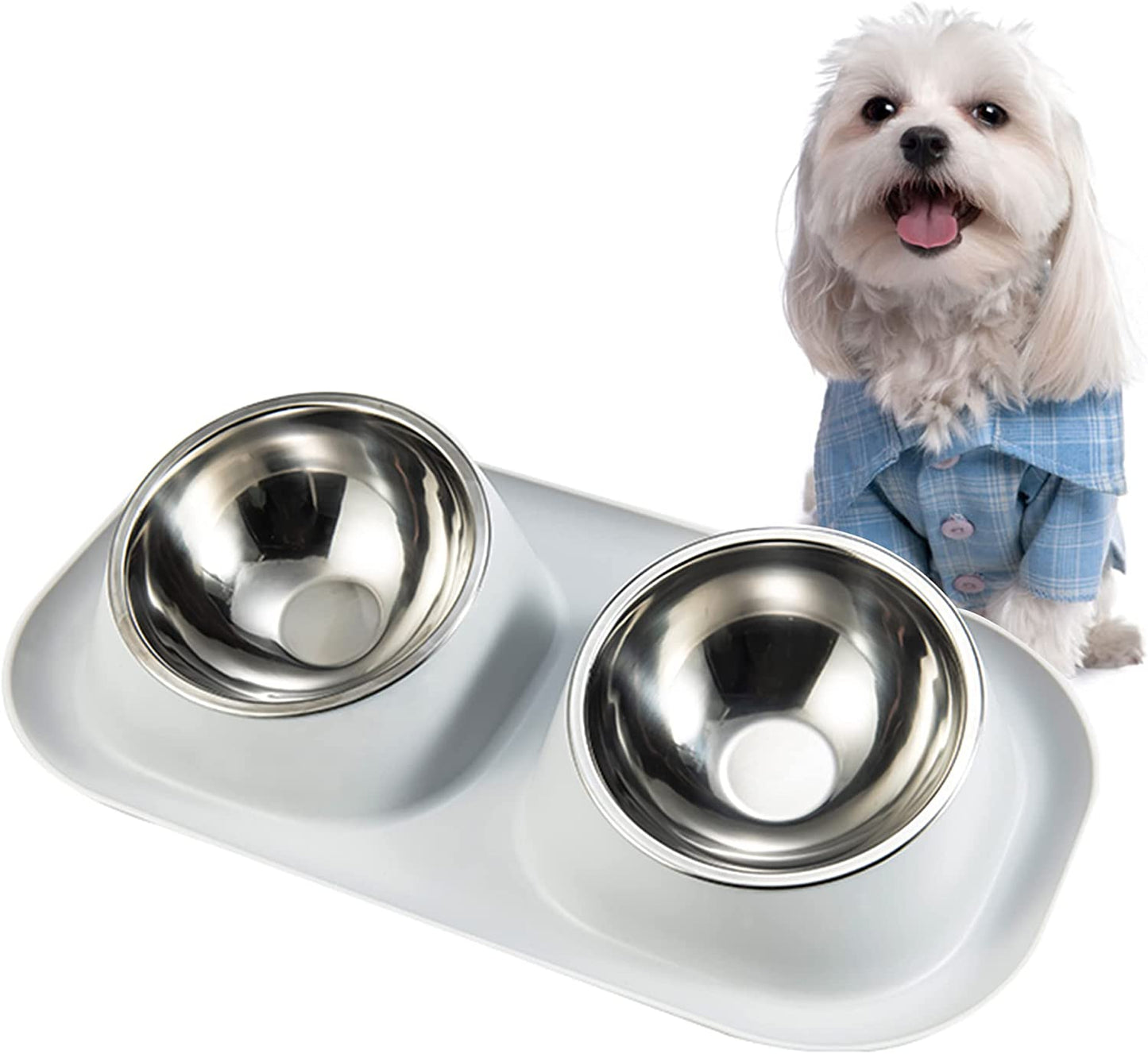 Easy Feed Spill-Proof Slanted Double Dog Bowl