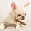 Bite Resistant Dog Bone For Aggressive Chewers-Large