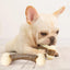 Bite Resistant Dog Bone For Aggressive Chewers-Medium