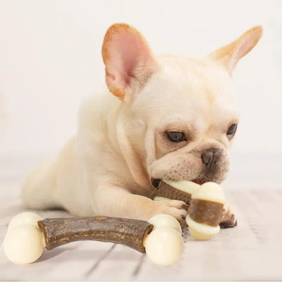Bite Resistant Dog Bone For Aggressive Chewers-Medium