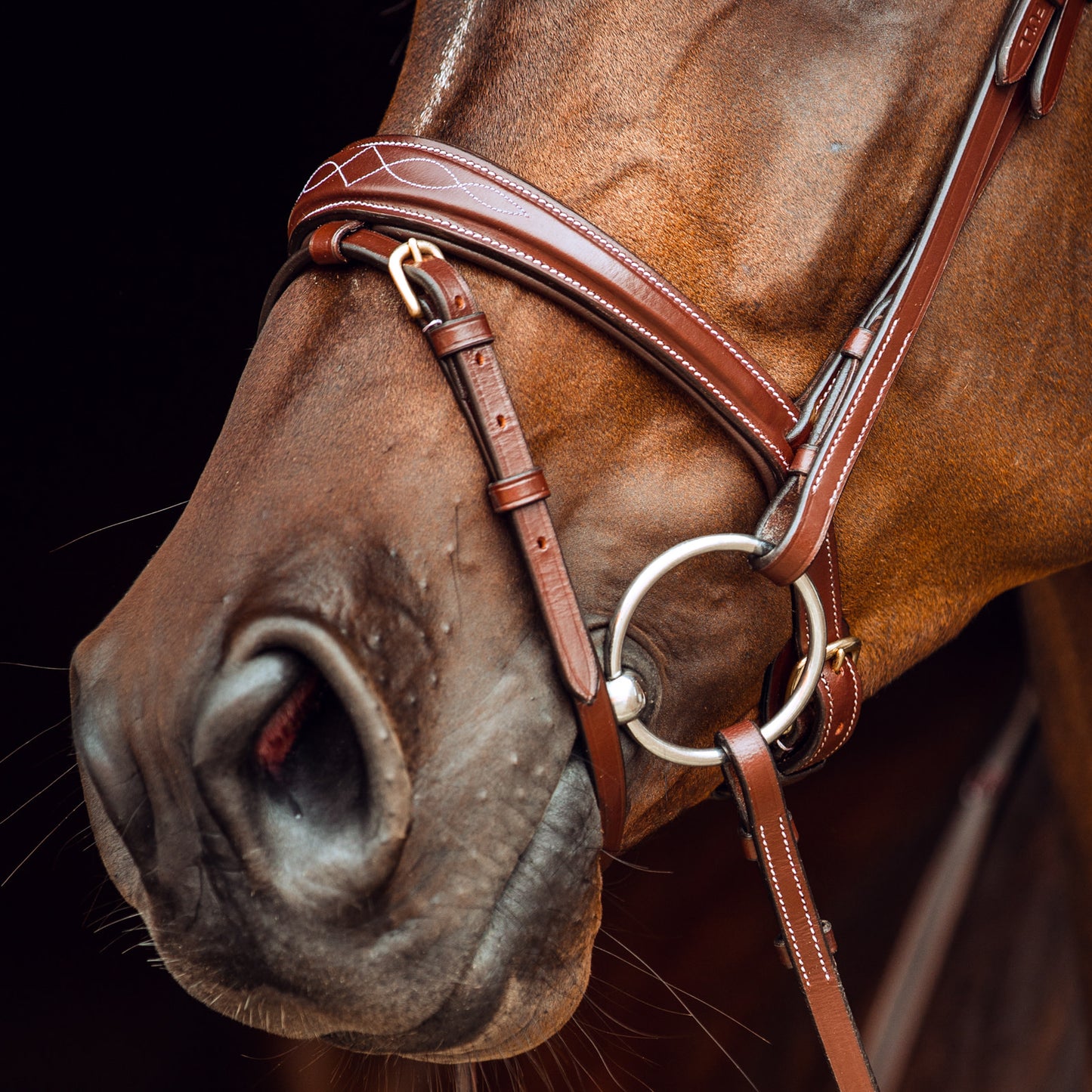 Horze Sion Bridle with Reins - Brown