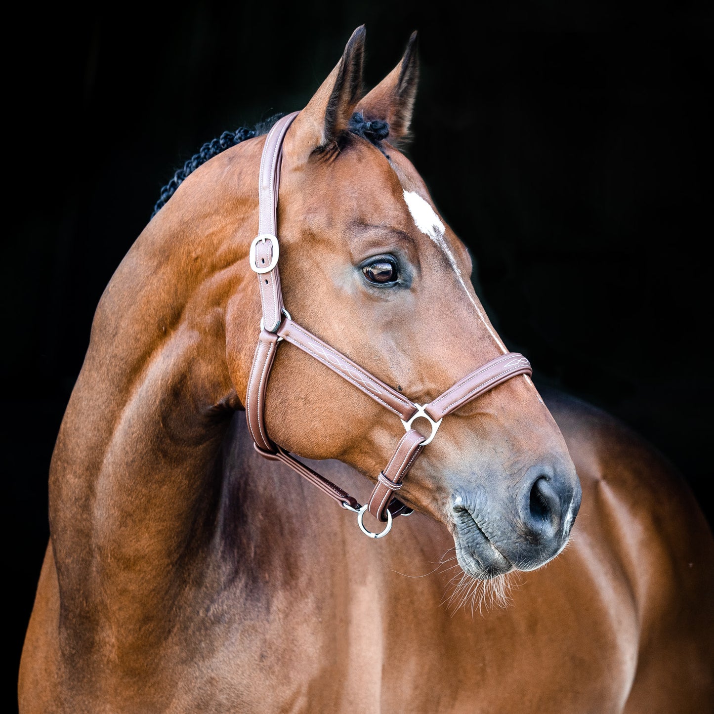 Horze Warren Soft Leather Halter - Brown