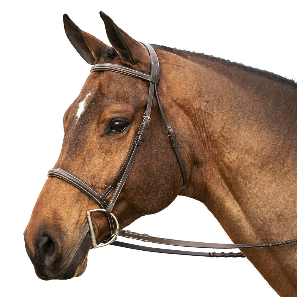 Equinavia Saga Fancy Stitched Hunter Bridle & Reins - Chocolate Brown