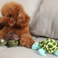 Plush Turtle Dog Squeaky Toy