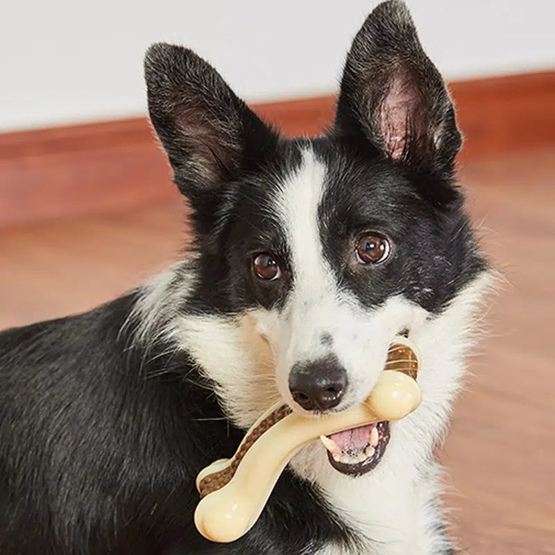 Bite Resistant Dog Bone For Aggressive Chewers-Large