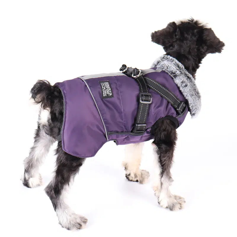 Waterproof Dog Jacket With Reflective Stripe