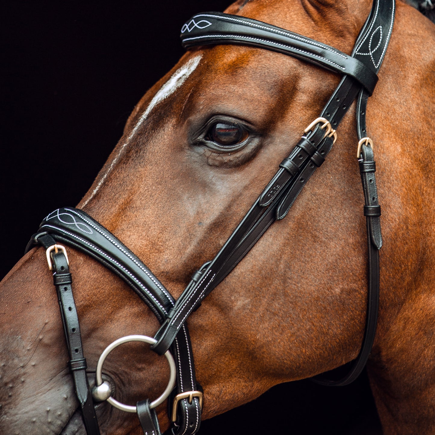 Horze Sion Bridle with Reins - Black